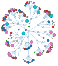 Neo4j Force Collapsible Example