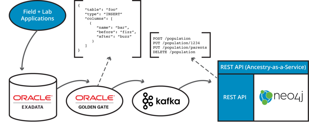 Learn how and why to fully synchronize your relational and graph data between Oracle RDBMS and Neo4j