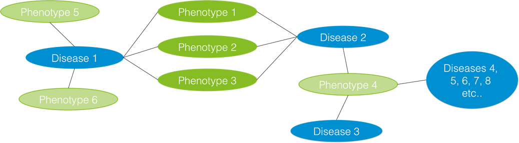 Rare diseases research