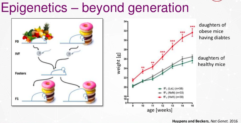 graph-fight-diabetes-jarasch-graphconnect.jpg