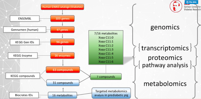 graph-fight-diabetes-jarasch-graphconnect.jpg