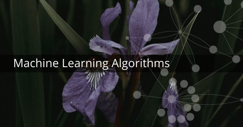 Learn more about graphs and machine learning.