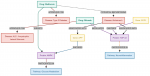 Graph Analytics Applications and Use Cases