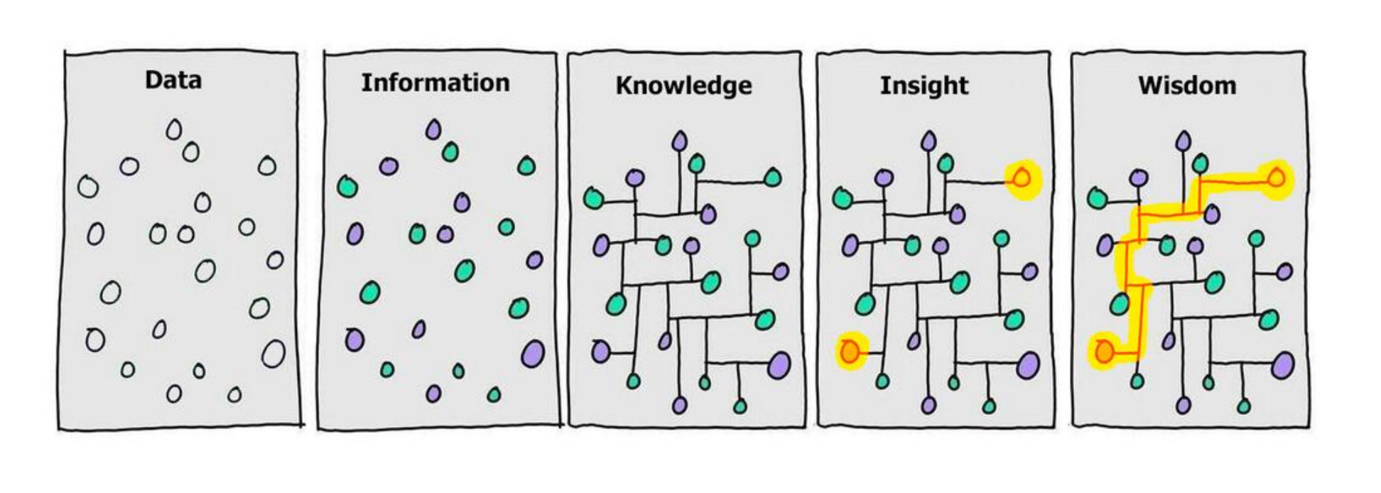 Diagram showing data becoming information, knowledge, insight, and wisdom through connected relationships.