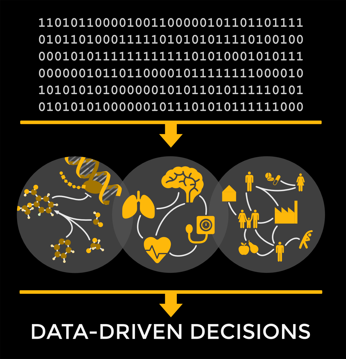 Learn How Data Scientists at EdgeLeap Use Neo4j to Navigate the Causes and Cures of Heart Failure