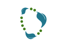 sdn